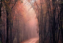 巴列卡诺主场硬仗取胜，斩获重要三分