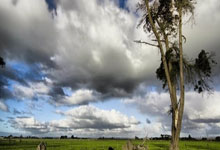 里昂客场大胜亚眠，积分榜攀升