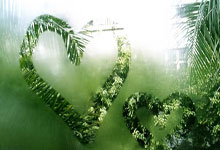 漳州伊小辉备战比赛，积极做好训练